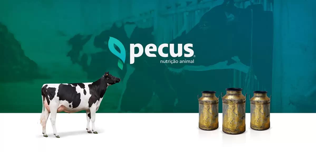 PECUS